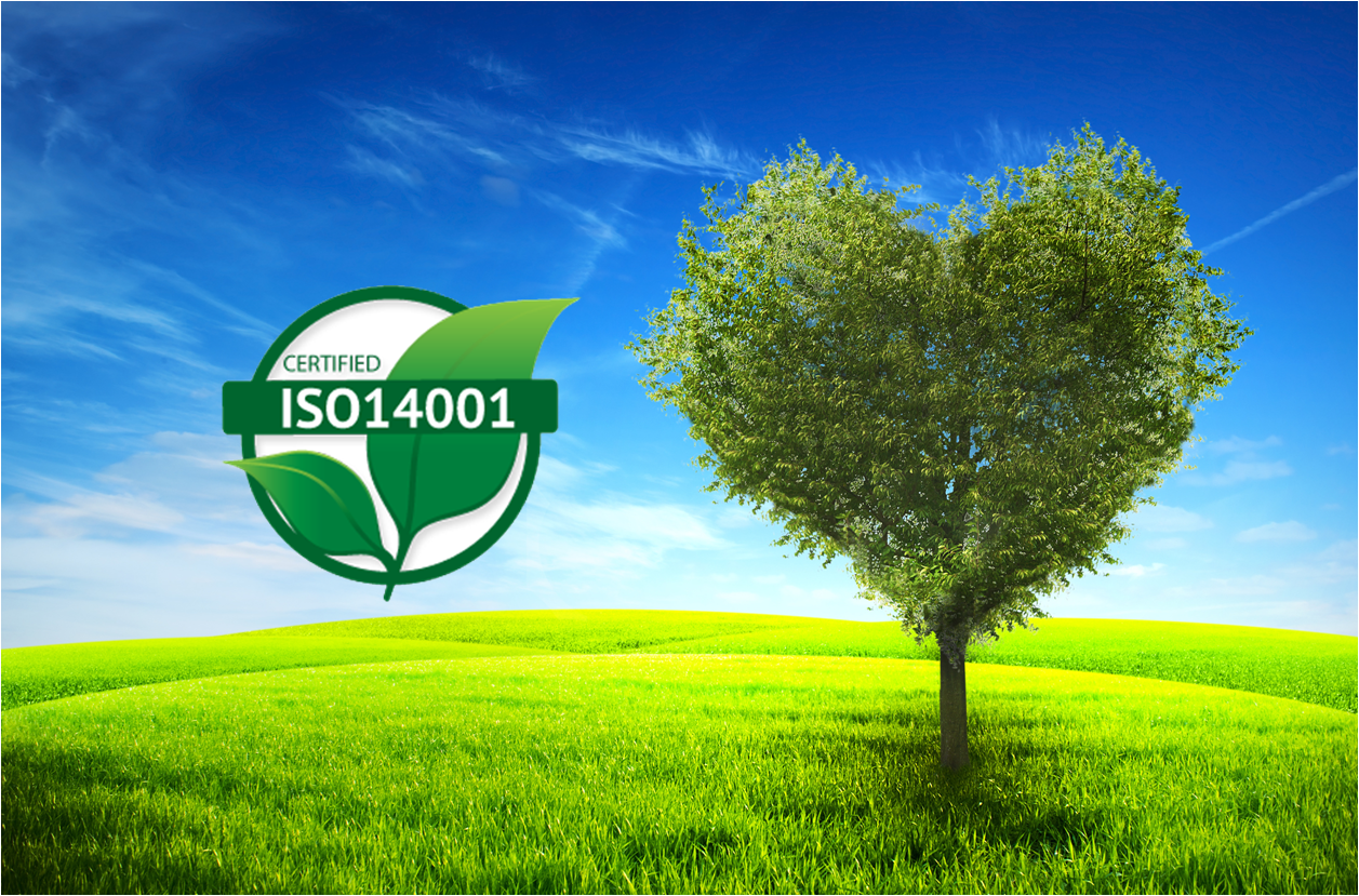 Получение сертификата ISO 14001 благоприятно сказывается на бизнесе